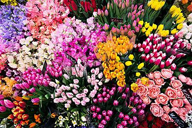 海外独立游戏展会上，这款国产新星让外媒惊艳